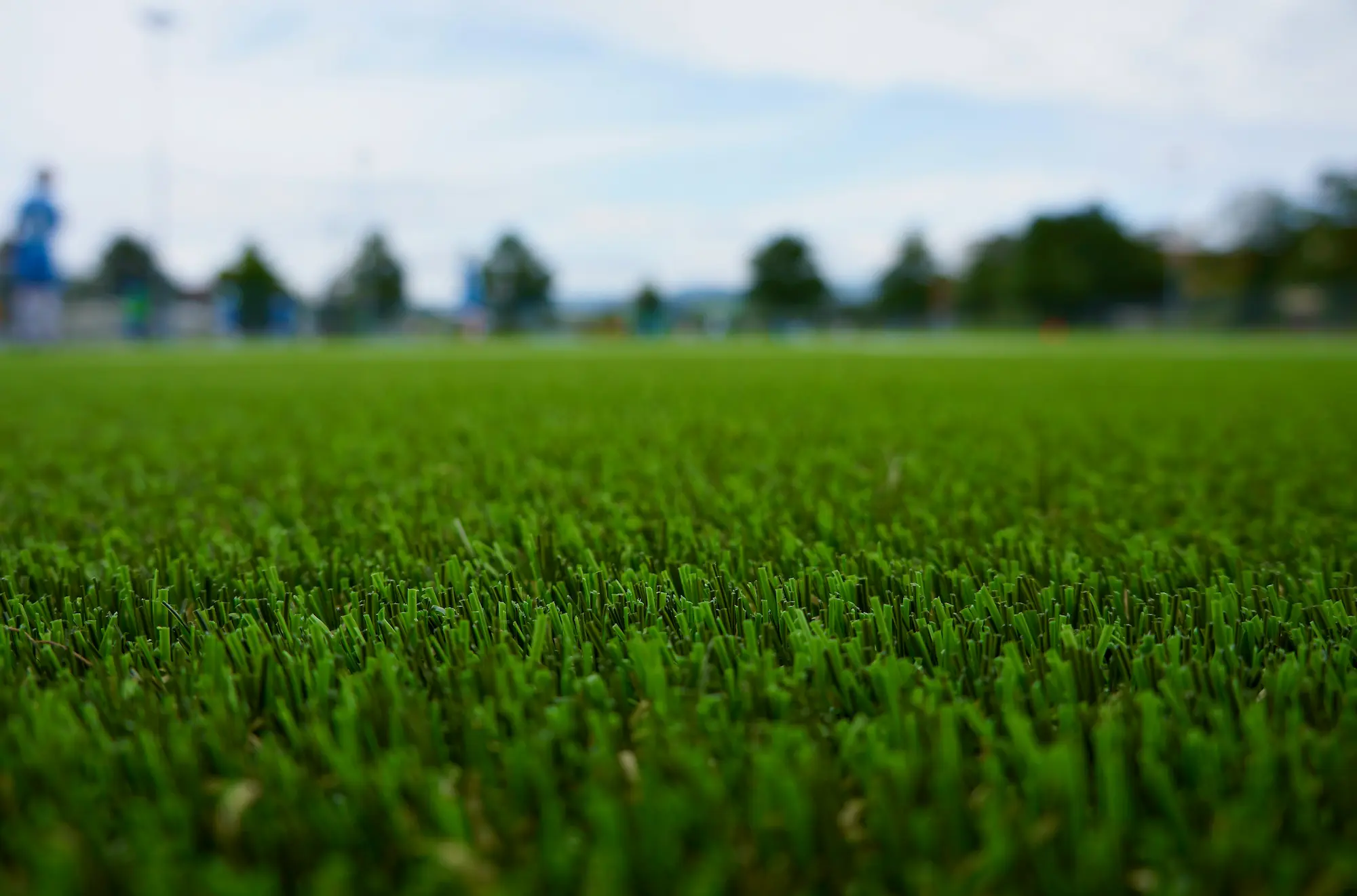 Turf & Sod